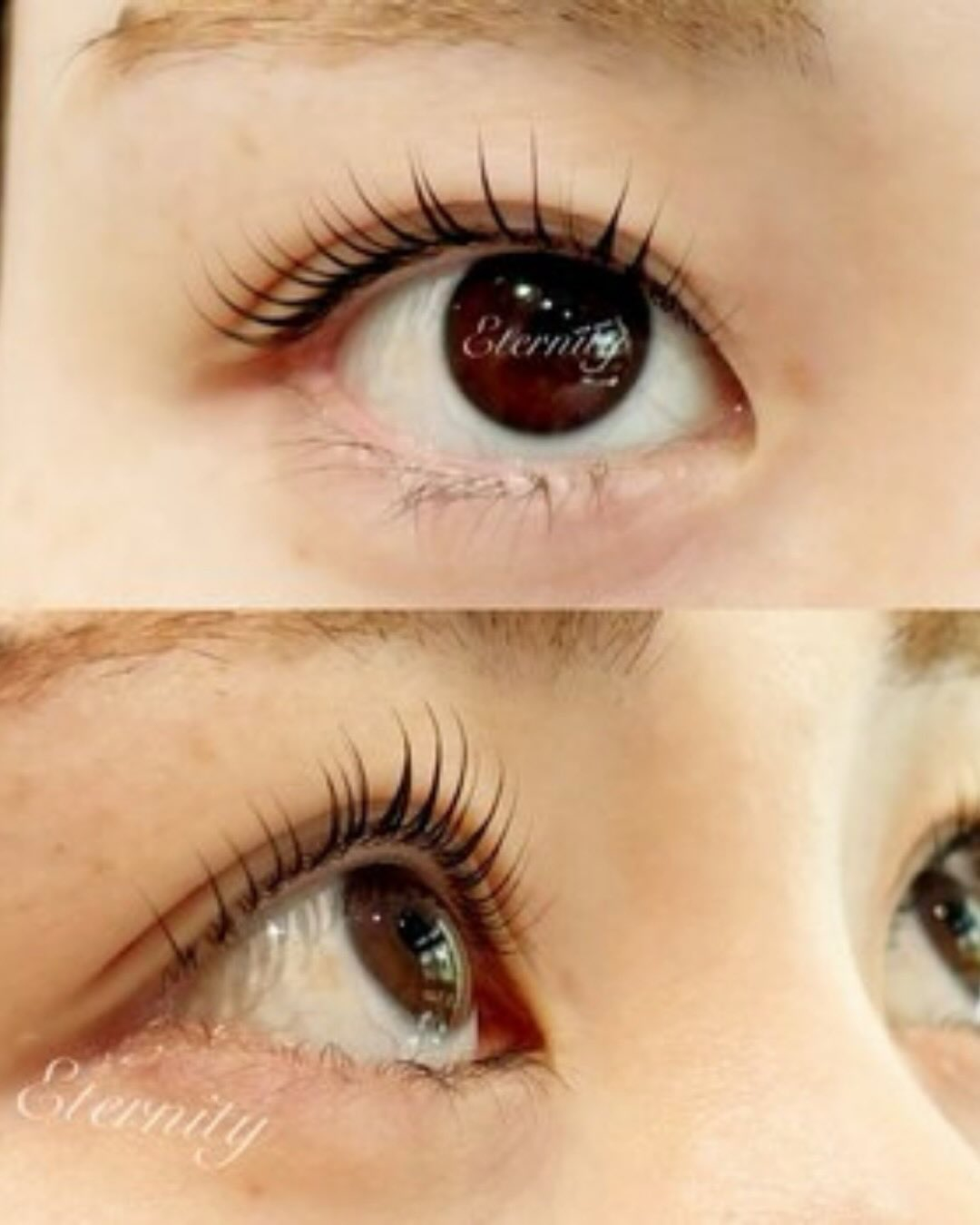 いつもご来店いただきありがとうございます